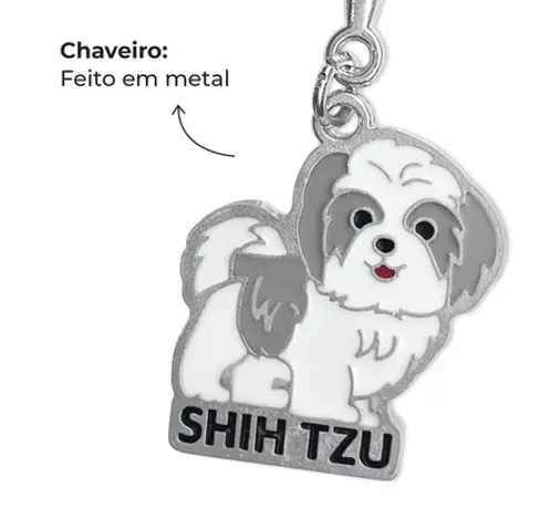 chaveiro 50 a 100.webp