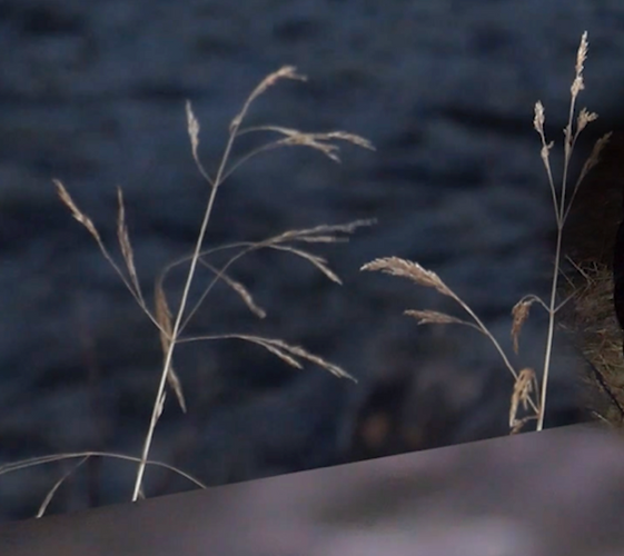 Screenshot 2026-03-25 at 17.21.01.png