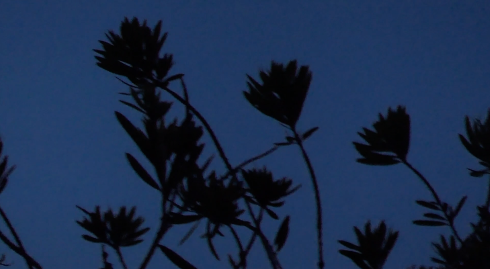 Screenshot 2026-03-25 at 17.40.12.png