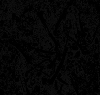 BONES_edited.jpg