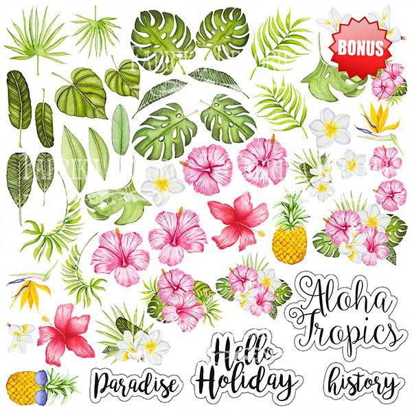 Миниатюра: Набор скрапбумаги "Tropical paradise", 30,5x30,5см, Фабрика Декору