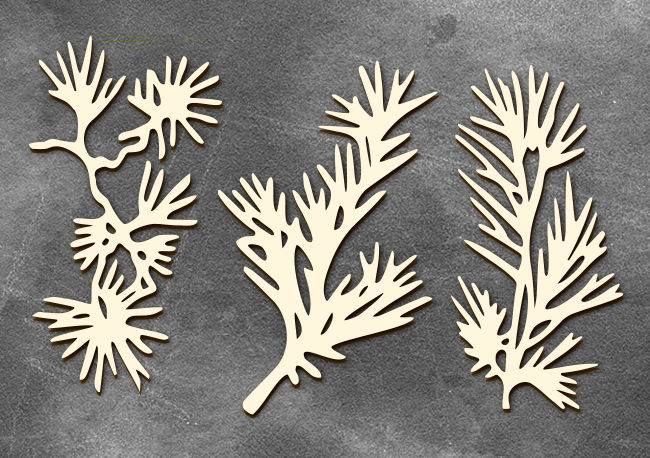 Набор чипбордов "Веточки хвои"