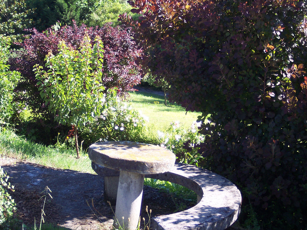 Jardín