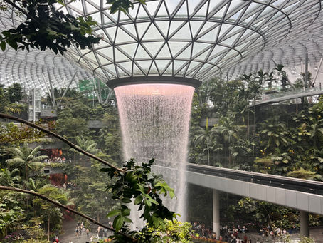 Reflection + Singapore Must-Sees