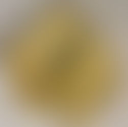 SAI Viva Experiences!