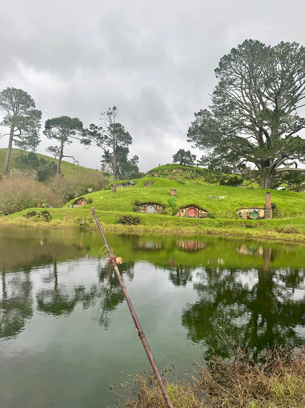 One of the first trips I took was to Hobbiton, an iconic filming set for The Lord of The Rings and The Hobbit. It felt like stepping straight into the Shire!