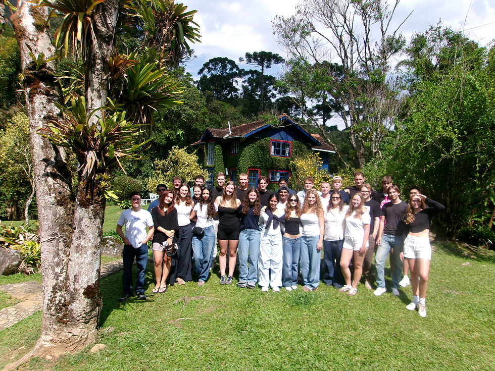 IBEA 9