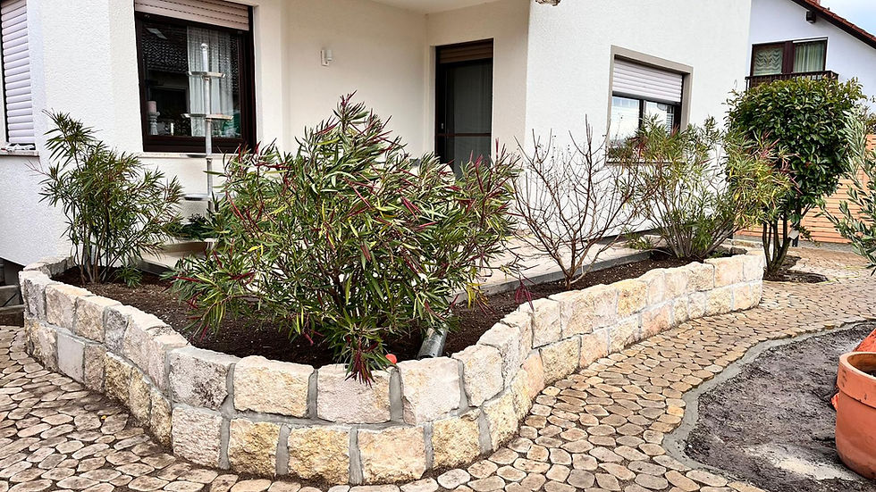 WhatsApp Image 2023-12-06 at 06.18.19 (5)