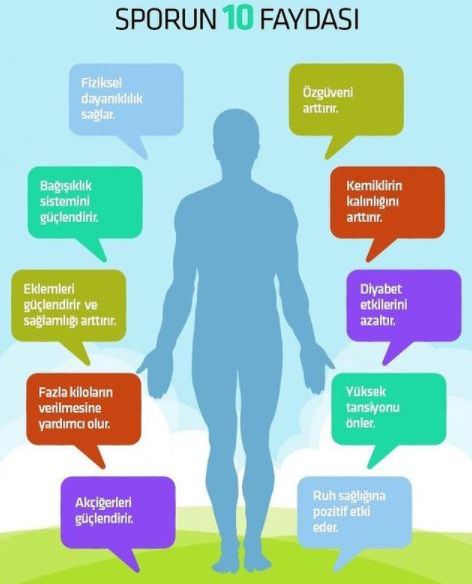 Sporun Fayfaları.JPG