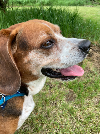 June - 2021 - "Mumford"