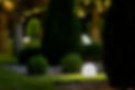 iStock-1250557241_edited.jpg