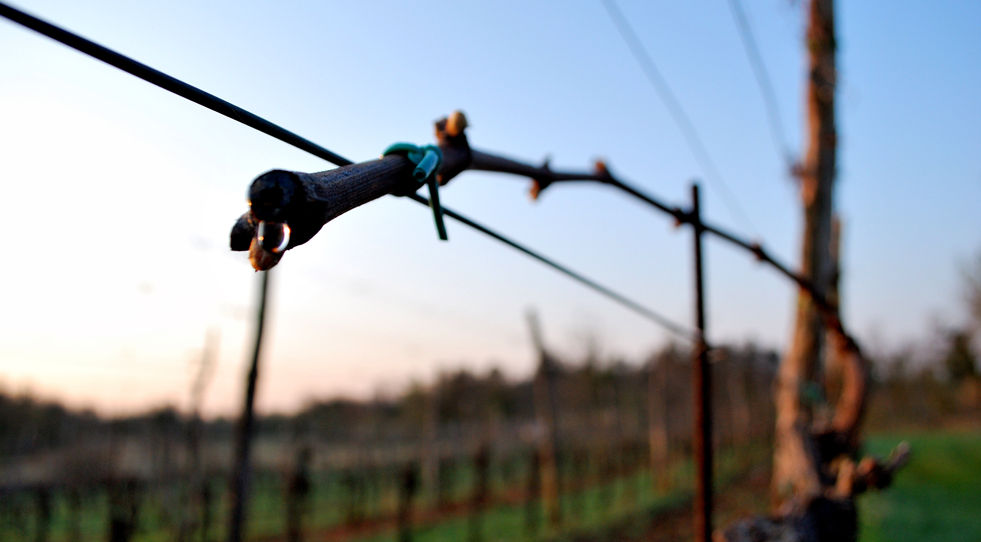 DSC_0265 - Kopija.JPG