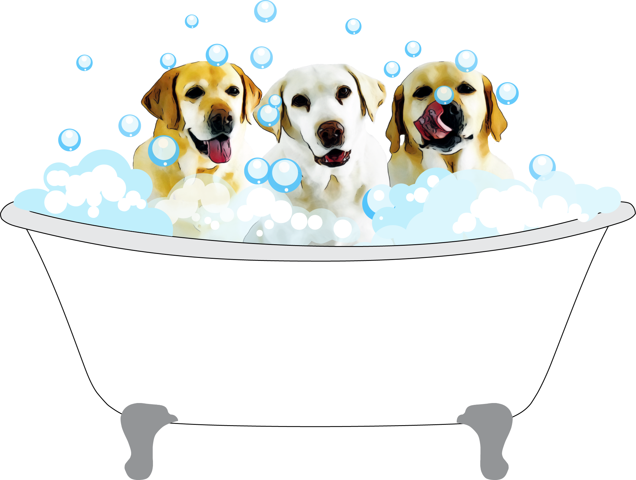 Topcoat 'n Tails Inc