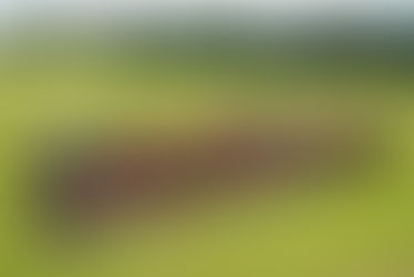 LOU CABIESSOU, retour en image 