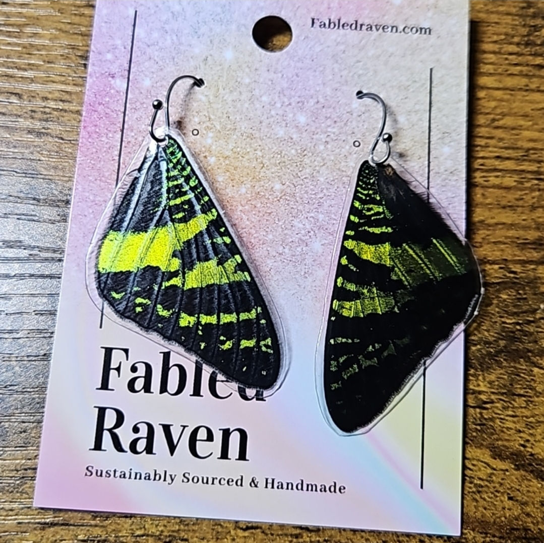 Real Butterfly Wing Earrings