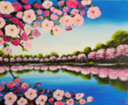 Cherry Blossom Reflections 