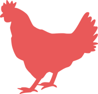 broiler_Sam_edited.png