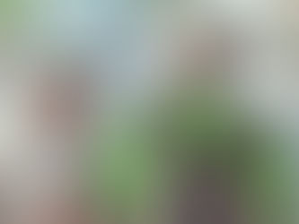 Two active ladies outside benefiting from Hearing Aids