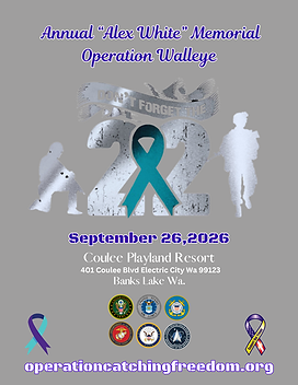 Operation Walleye (4).png