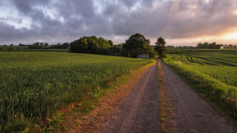 long-driveway.jpg