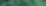 longKudzu.png