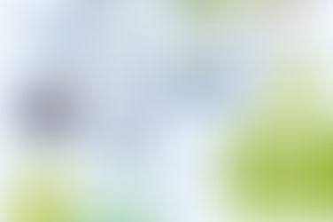 Novo Infográfico - 9 anos de Educação para a Vida