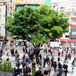 foule eparse autour du'n grand arbre dans une ville contemporaine dense