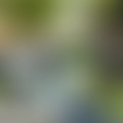 tronçon central de l’itinéraire n°4 du Réseau VIF à Cergy Pontse, devant l'Axe Majeu l’œuvre de Dani Karavan