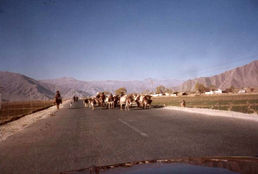 tibatvisitlate80s_22.jpeg
