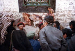 tibatvisitlate80s_15.jpeg