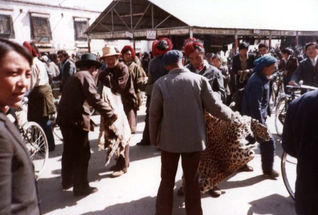 tibatvisitlate80s_16.jpeg