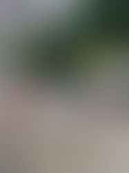 Vortex Club aux fêtes d’été du 15e arrondissement de Paris