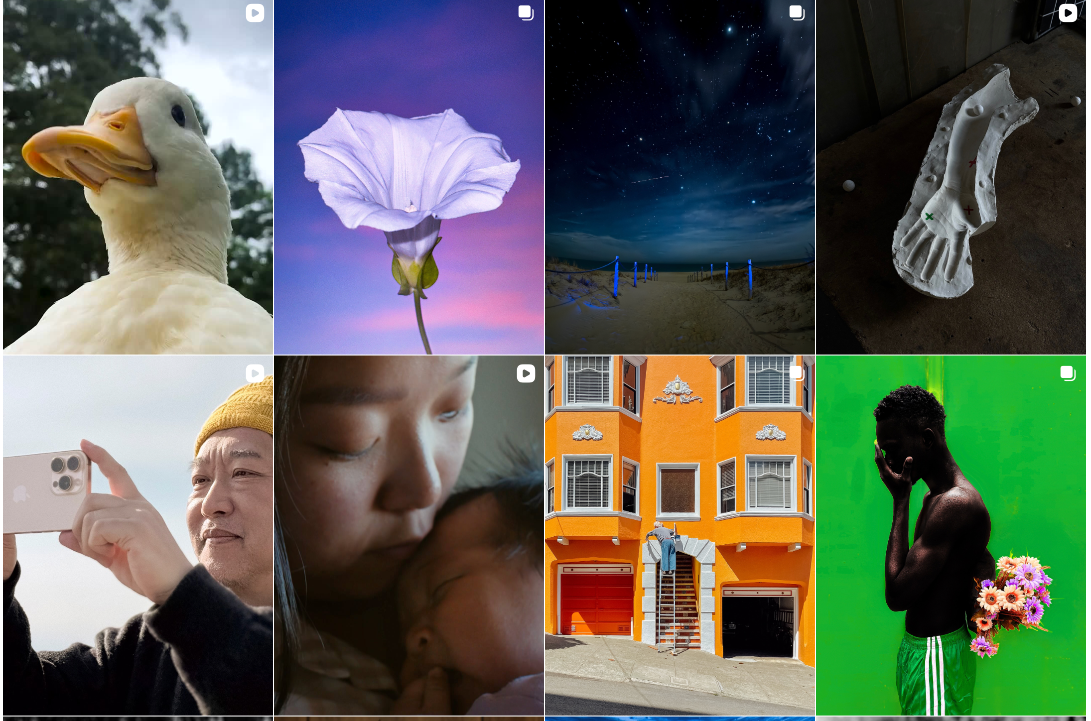 Apple instagram feed