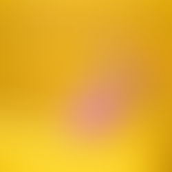 Manual para desaparecer