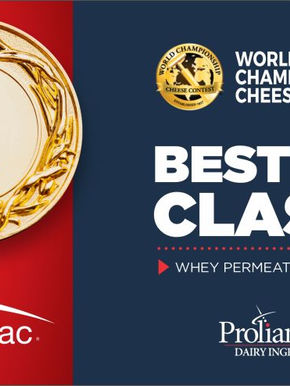 Best of Class Winner