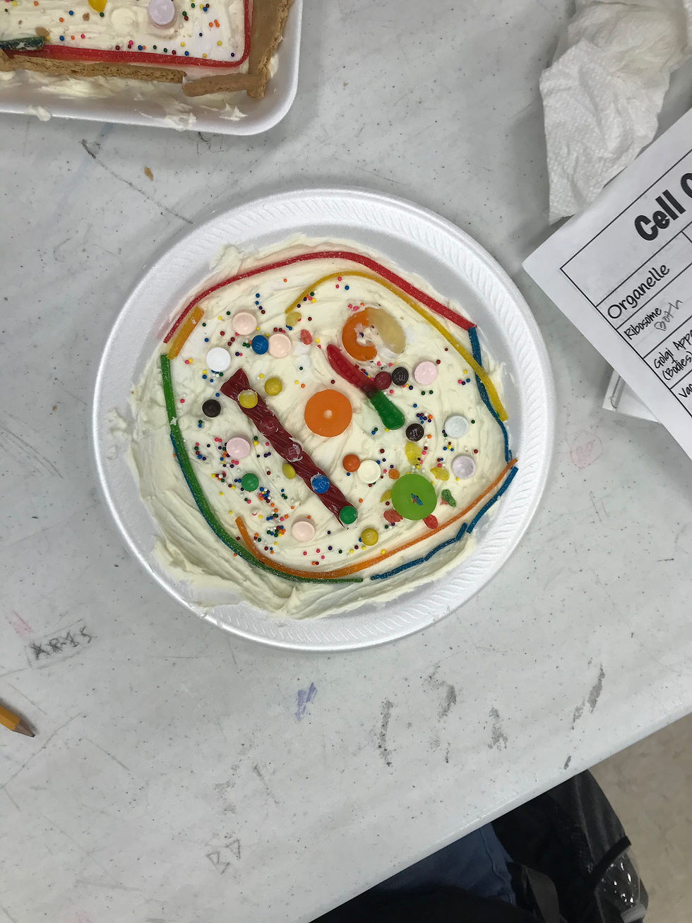 Animal Cell
