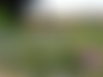 Nurture Your Nature (Three No-Brainers that Transform Your Health)