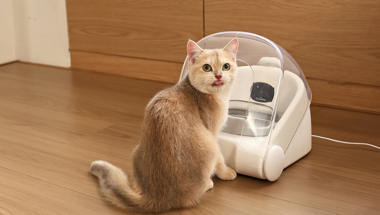 Mama savaşlarına son: Yüz tanıyan mama kabı geliştirildi