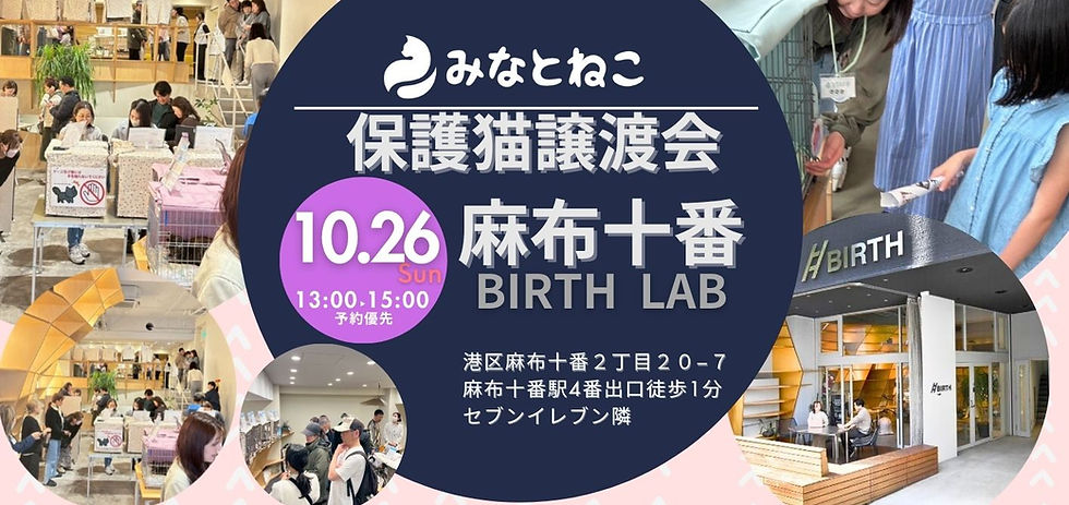 2025413HP用 (5)_edited.jpg