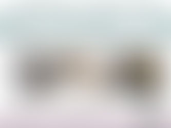 預かりボランティア募集中