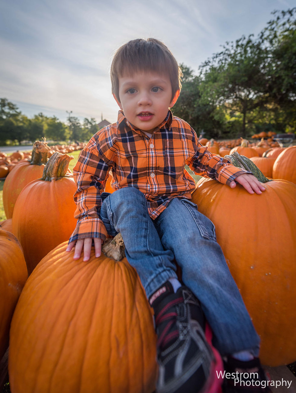 Pumpkins (13 of 51)