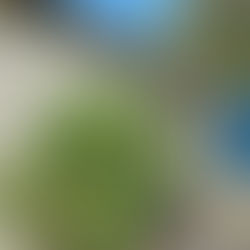 Renovation of Poplar Creek Drive