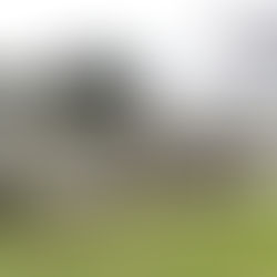 Renovation of Darla Drive