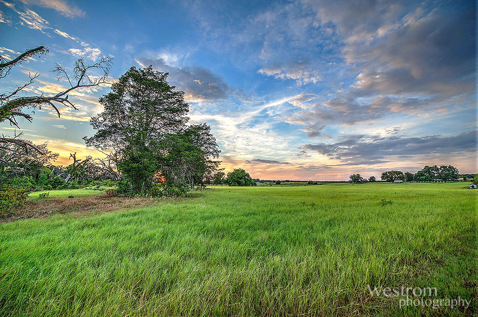 Landscape photography