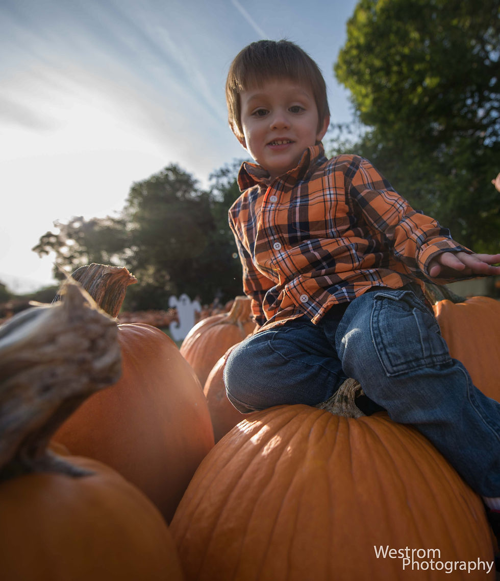 Children's Photography