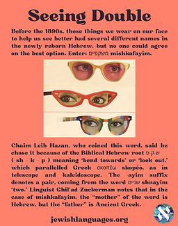 Fun Fact Seeing Double .png