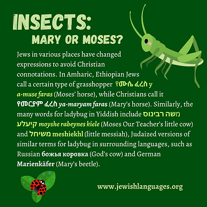 Insects Mary Moses.png