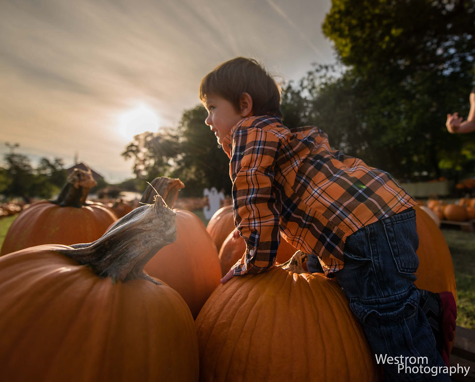 Children's Photography