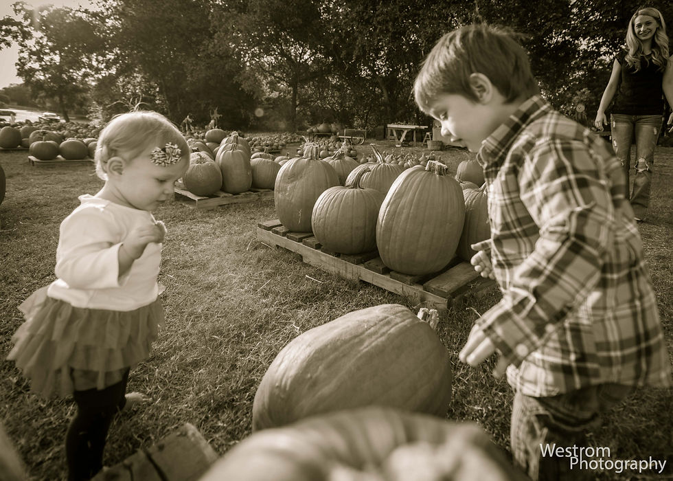 Children's Photography