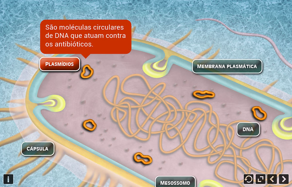 Plasmídios